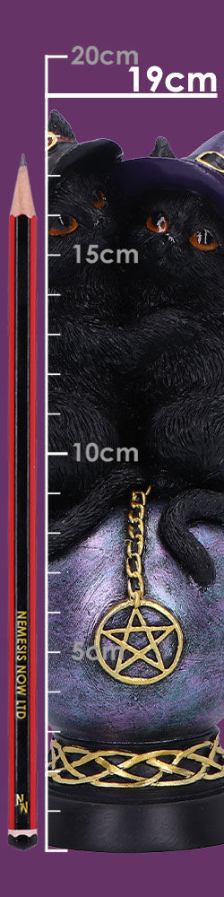 Kittens Orbuculum 19cm