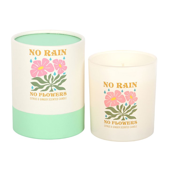 No Rain, No Flowers Citrus & Ginger Candle