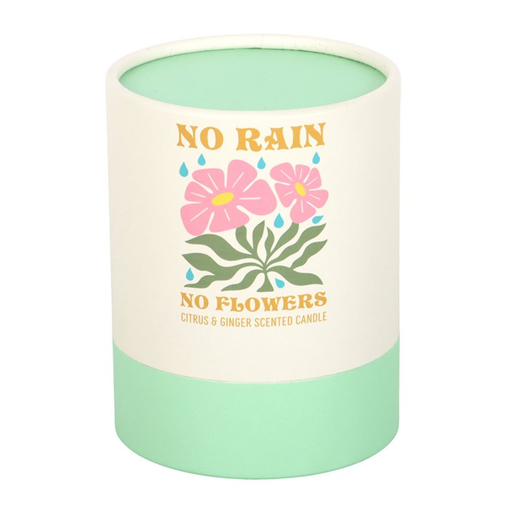 No Rain, No Flowers Citrus & Ginger Candle