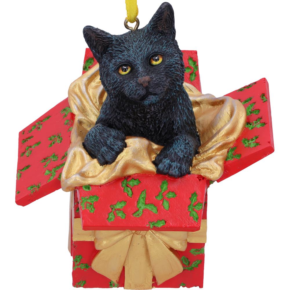 Present Cat Hanging Ornament (LP) 9cm
