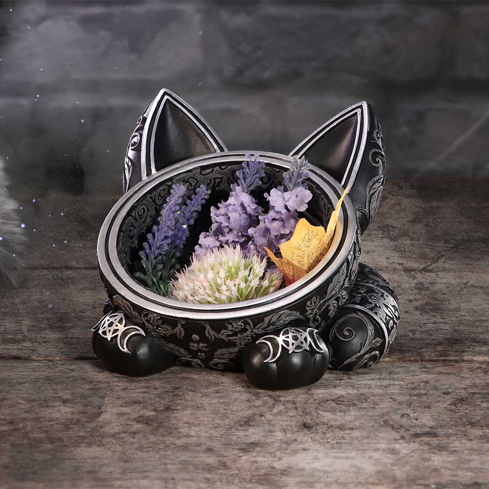 Black Cat Magic 16cm