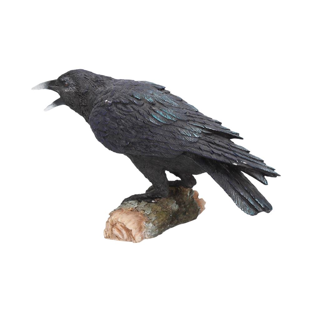 Raven's Call 20cm