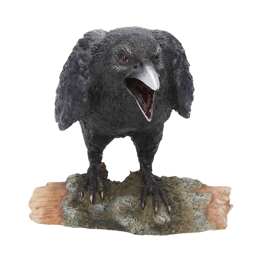 Raven's Call 20cm