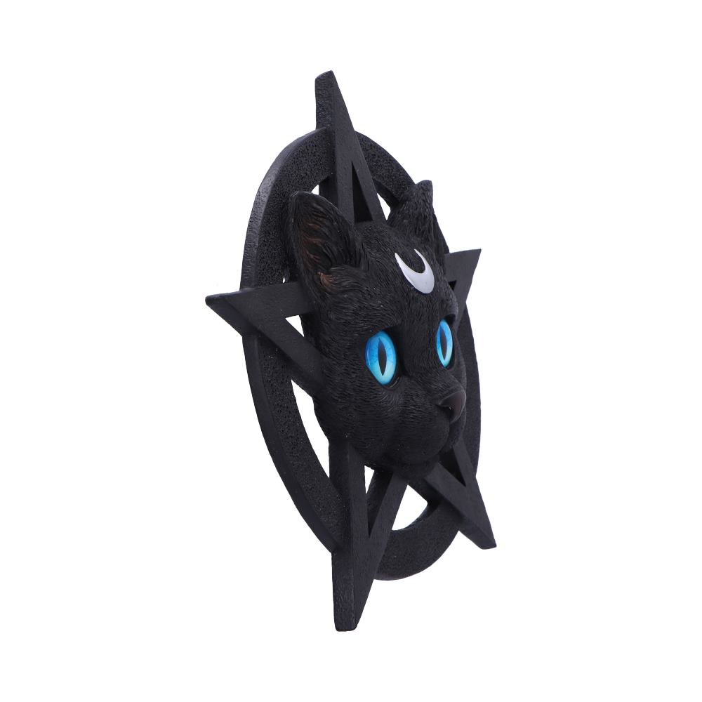 Feline Worship 25.5cm