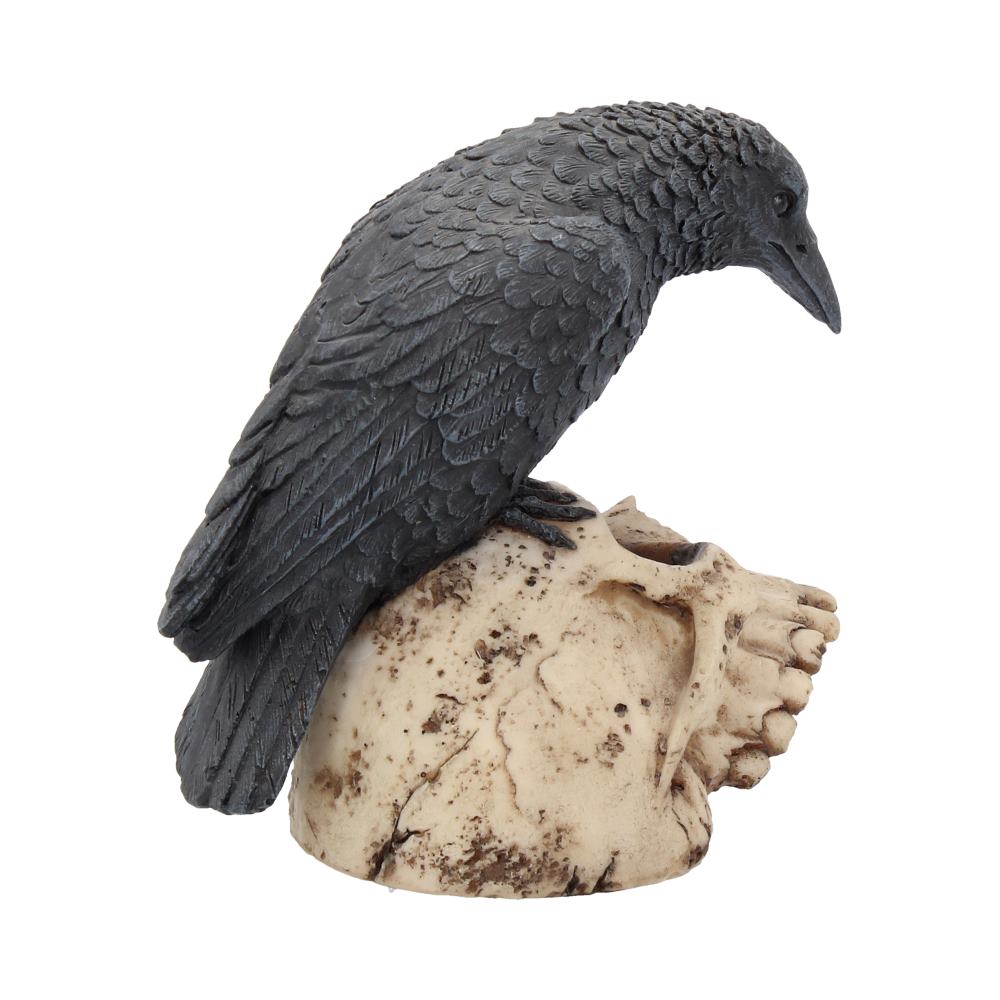 Ravens Remains 13cm