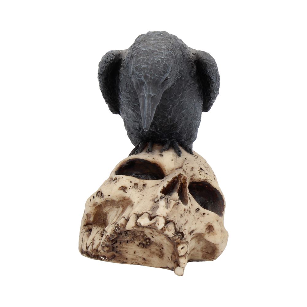 Ravens Remains 13cm