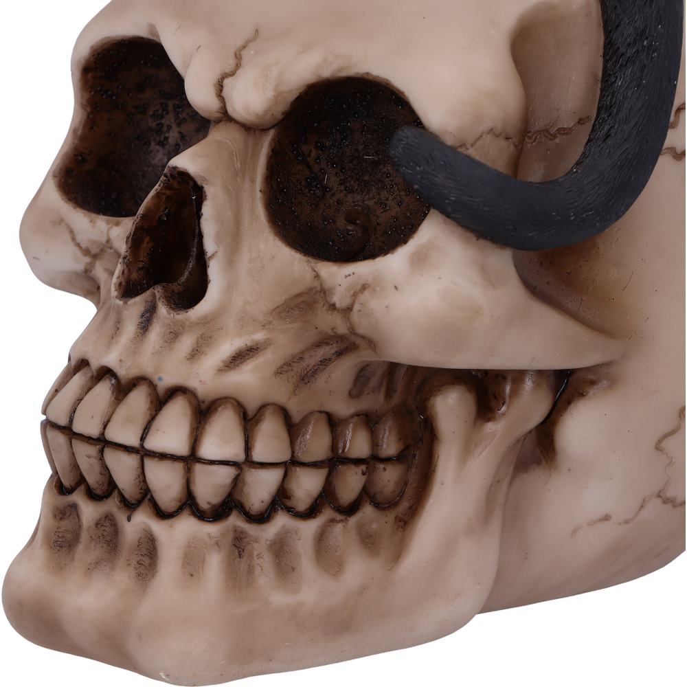 Familiar Fate 24.3cm