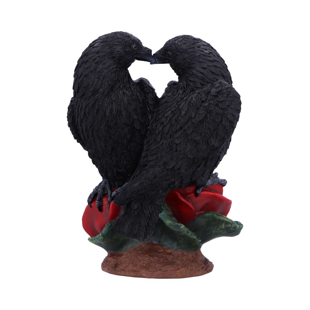 Raven Romance 20cm