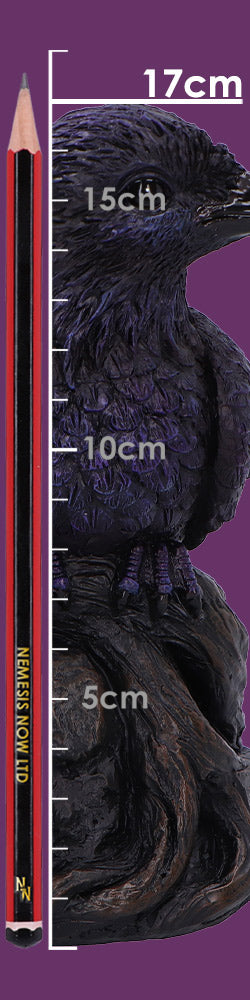 Raven Roost Backflow Incense Burner